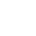 Nexus Store Logo